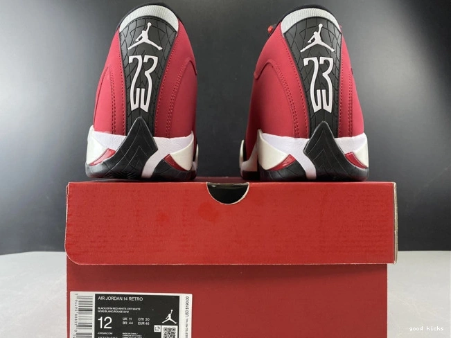 Rep AIR 487471-006 JORDAN RED 14 RETRO TORO GYM 0822